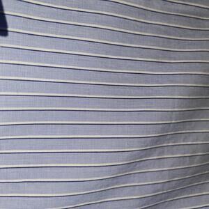 UNIQLO Blue and White Pinstripe Long Sleeve Dress Shirt